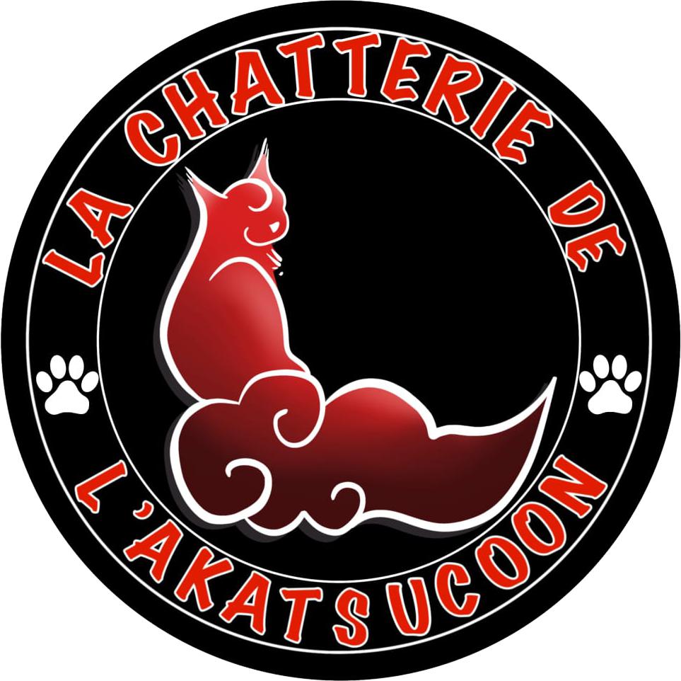 Logo La Chatterie de l'Akatsucoon