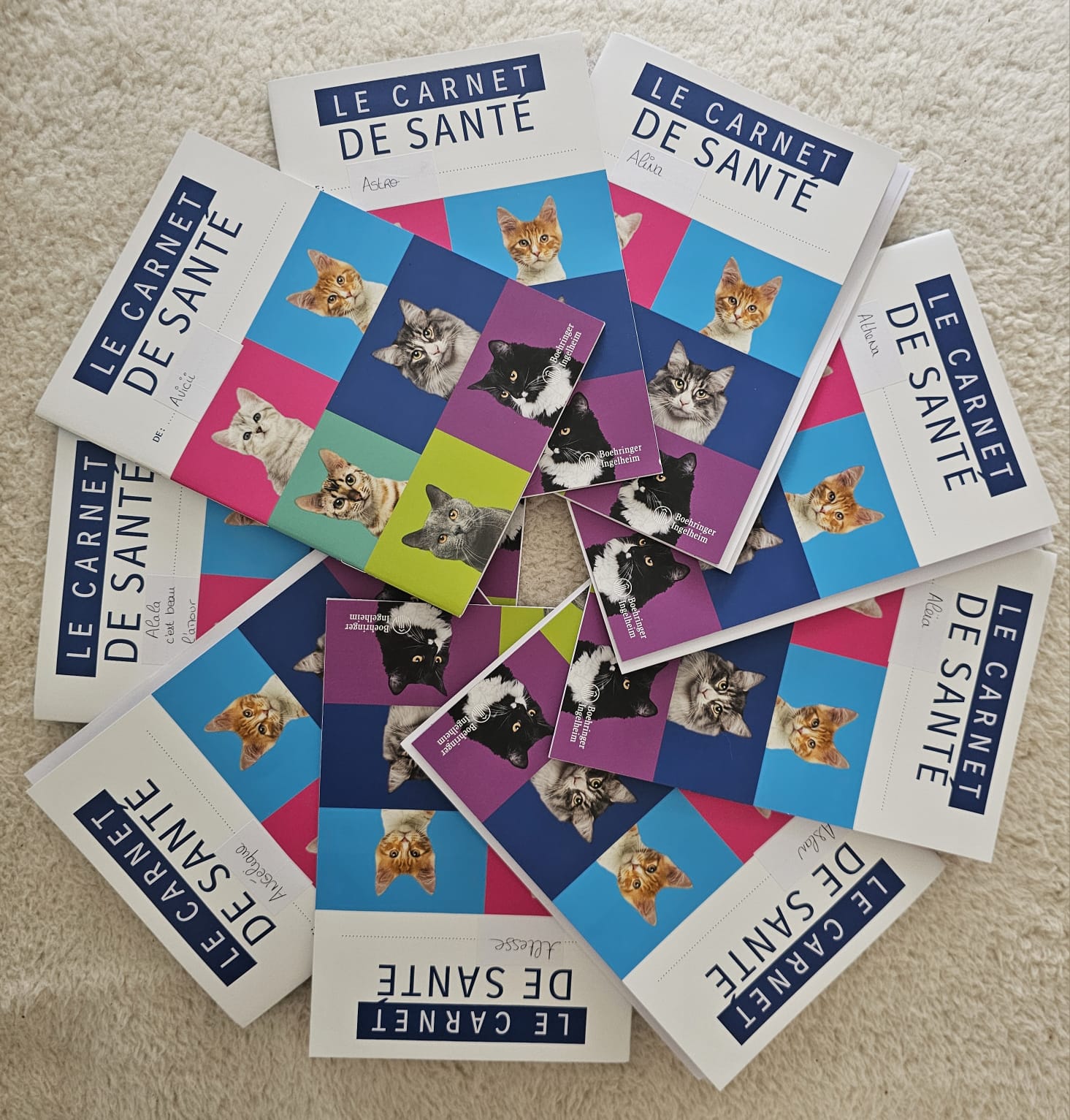 Livret de Santé de Chatterie de l’Akatsucoon