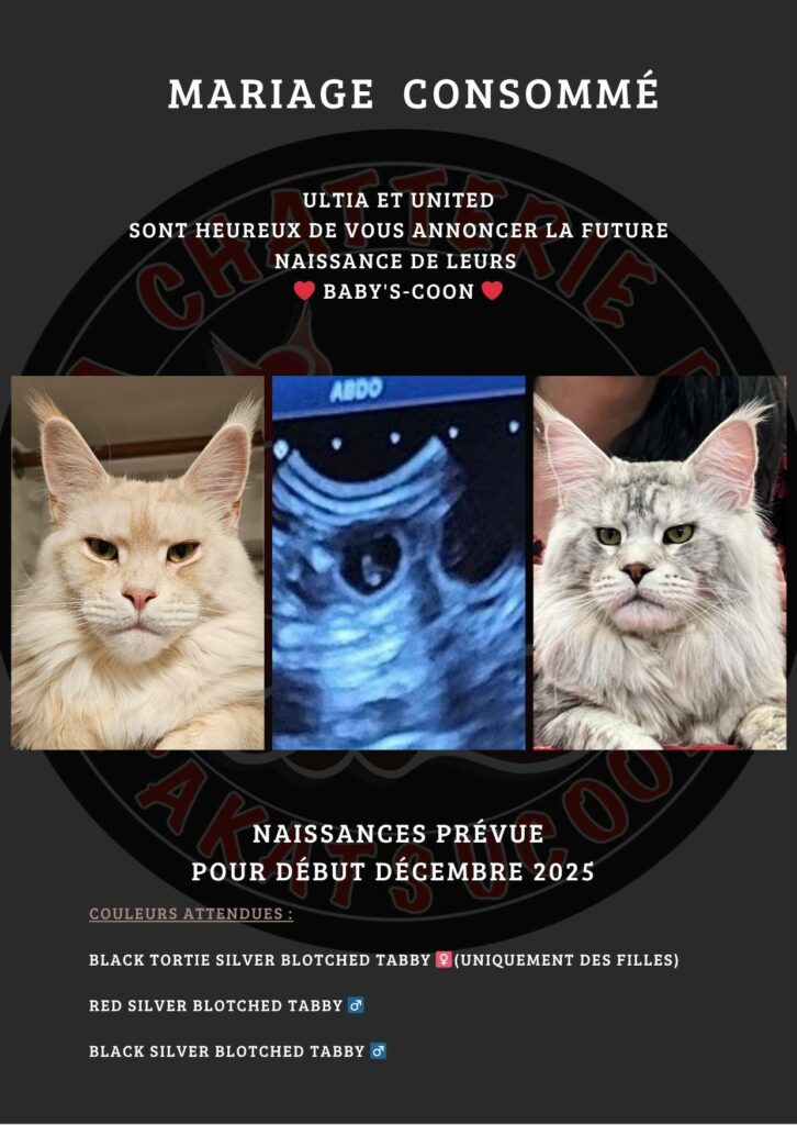 Mariage Ultia et United