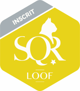 Certification SQR Niveau 1 Inscrit