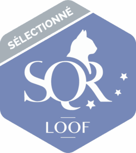 Certification SQR Niveau 3 Selectionné