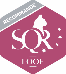 Certification SQR Niveau 4 Recommandé