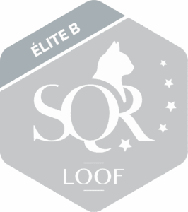 Certification SQR Niveau 5 Elite B