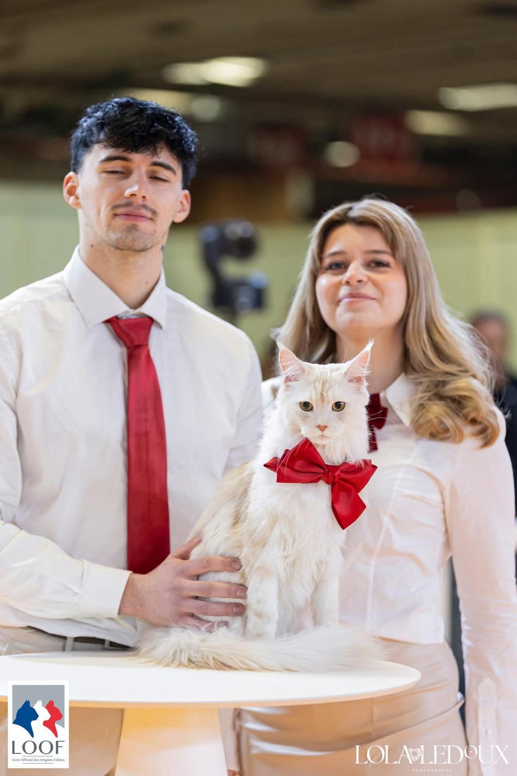 Nos Adoptants – Coline et Nicolas – Uriel Heros