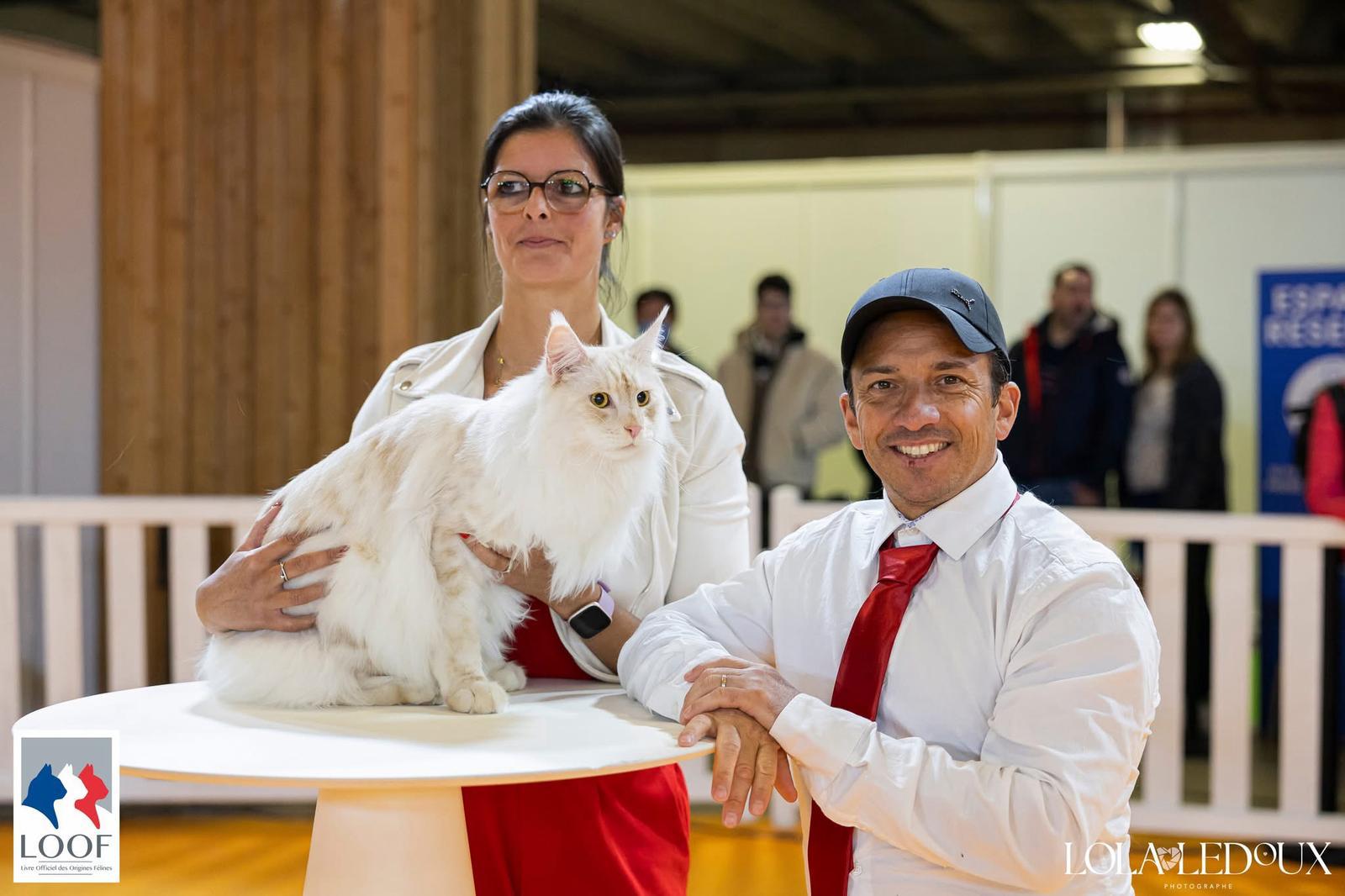 Nos Adoptants – Gaelle et Jerome – Utopie