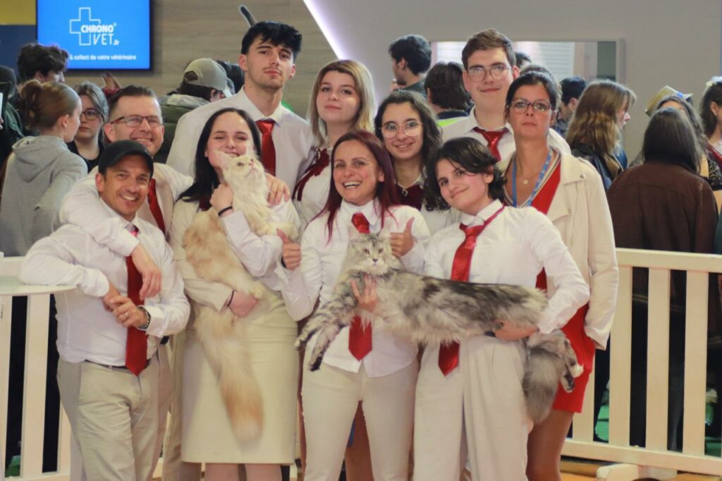 Expositions de Chatterie de l'Akatsucoon au Salon de L'agriculture