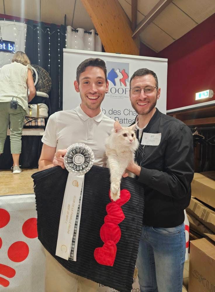 Nos Adoptants – Jerome et Floriant – Avicii