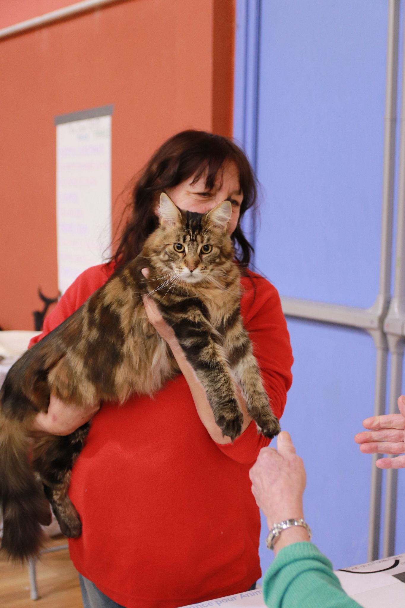 Adoptants Ambassadeur – Willow – Caroline